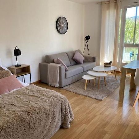 Studio 33 M2 , Climatise, Parking Exterieur Prive Gratuit Amélie-les-Bains-Palalda Exteriér fotografie